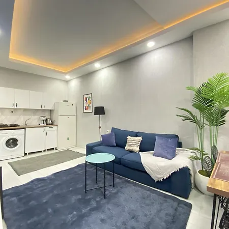 公寓 Prime Location 1br Flat Near Taksim *